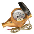 Multi Jet Dry Type Water Meter Classe C / R160